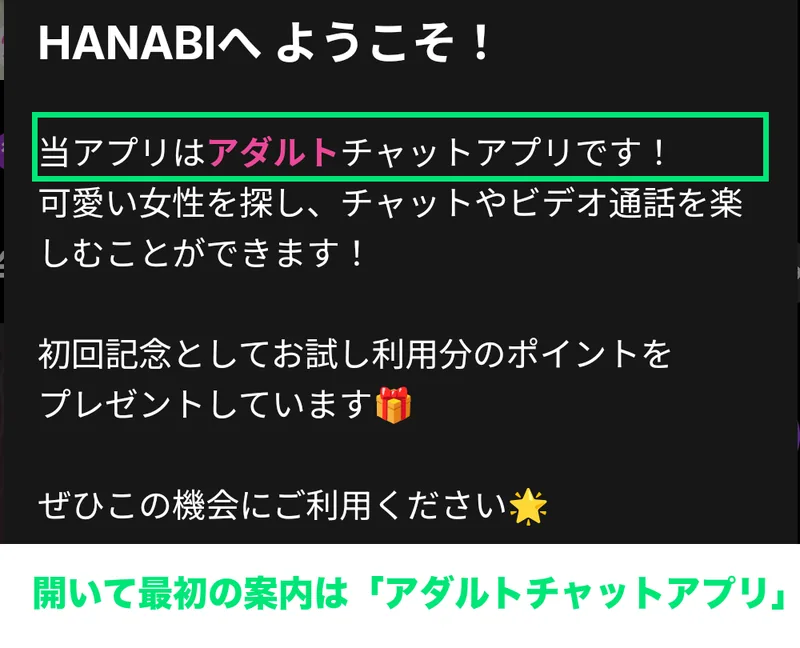 HANABIを開いた最初の案内。「当アプリはアダルトチャットアプリです」と表示される