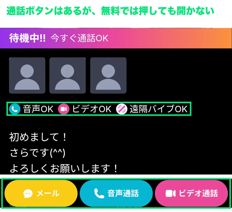 女性のプロフィール画面。音声・ビデオ・遠隔の対応表示と、下部の通話ボタン
